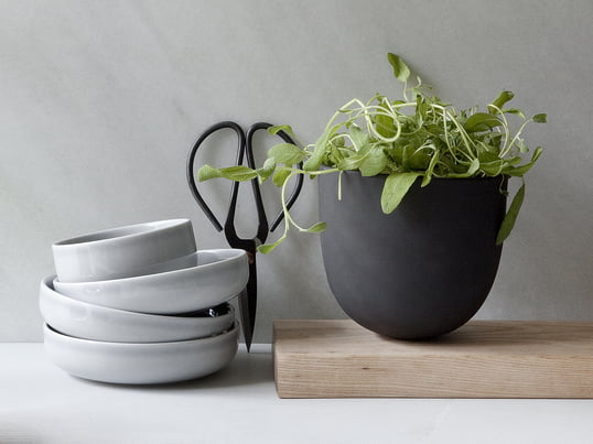 Le window gardening est à la mode : cultivez vos propres herbes dans le Grow Pot d'Audo. Des compagnons de cuisine qui ont du style : les bols New Norm d'Audo et les ciseaux de cuisine de Hay.